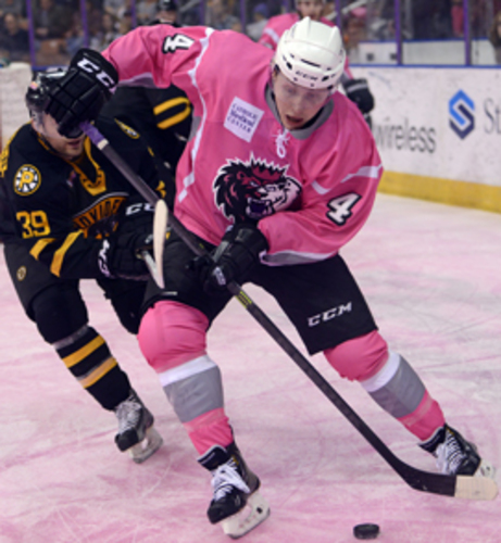 Pink in the Rink  Providence Bruins